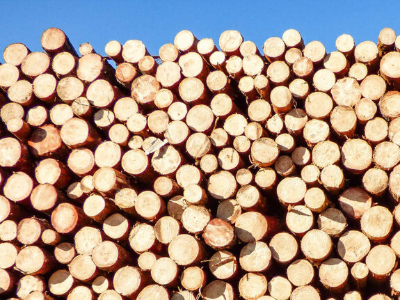 surové stavebné drevo neopracované drevo